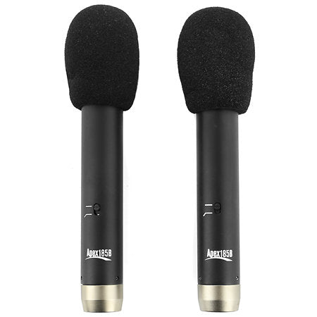 LOCATION MICRO APEX 185 - LA PAIRE