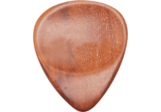 DUGAIN Médiator en Pernambouc