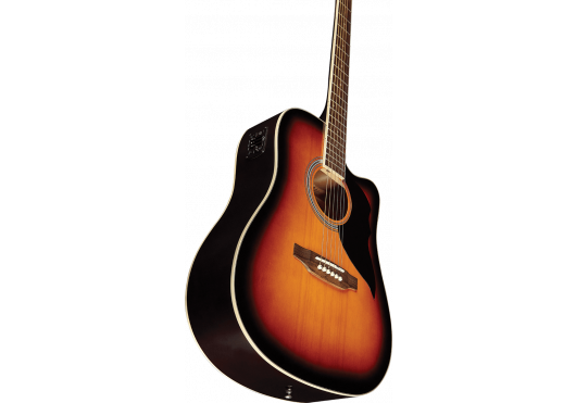 EKO Guitare électro Ranger Cutaway EQ Brown Sunburst
