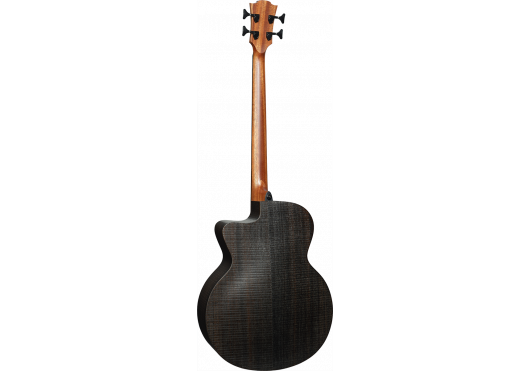 LAG Basse électro-acoustique Sauvage