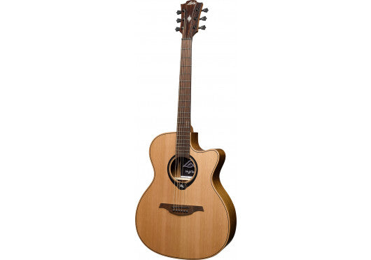 HyVibe 10 Auditorium Cutaway Electro