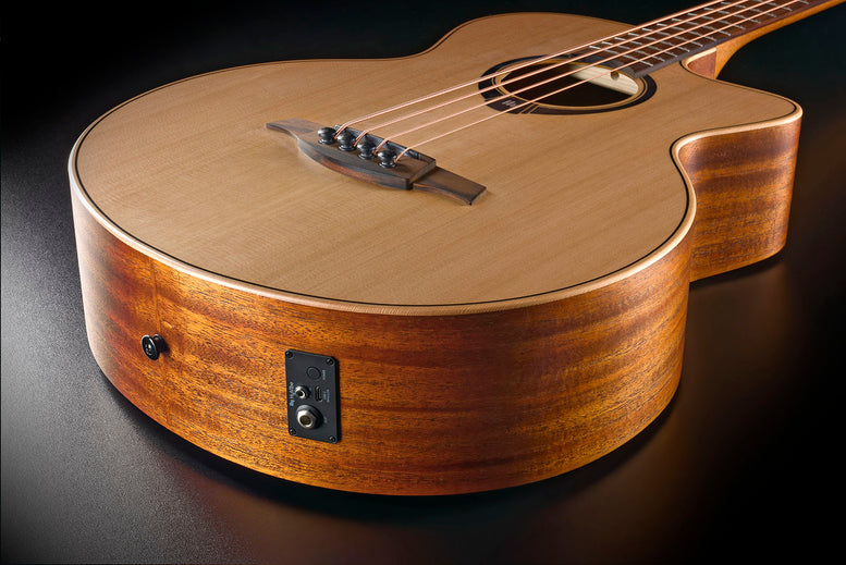 HyVibe 10 Jumbo Bass Cutaway Electro