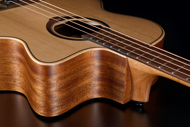 HyVibe 10 Jumbo Bass Cutaway Electro