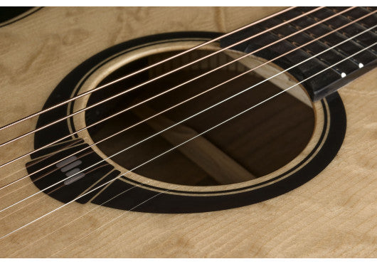 HyVibe 30 Auditorium Cutaway Electro