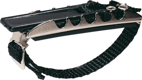 Incurvé, Électrique Et Folk