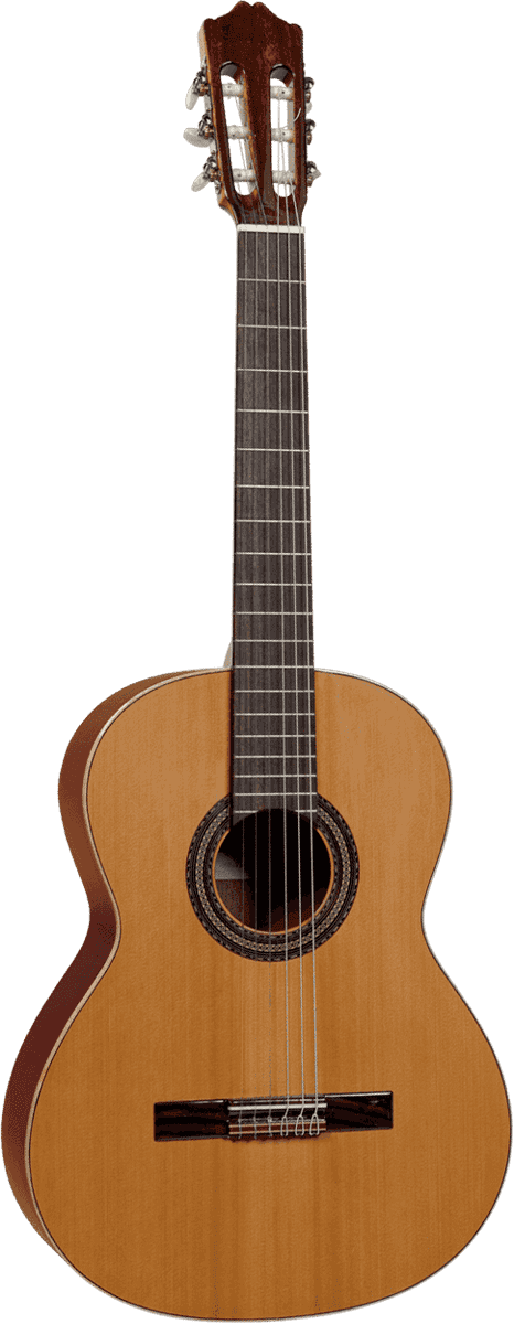 10 Cèdre Massif - Sapele - Gaucher