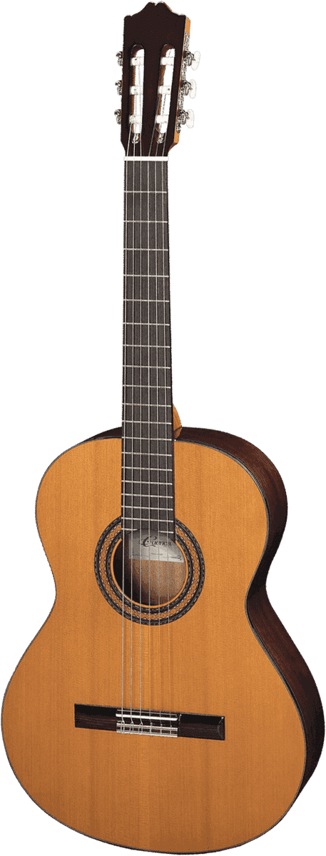 30 Cèdre Massif - Sapele