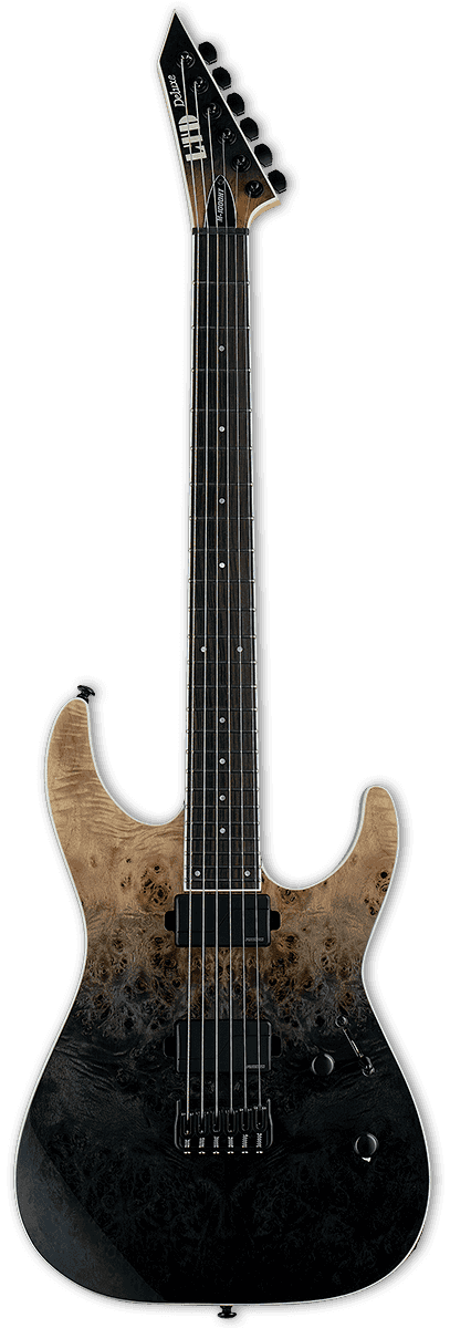 M1000 Hipshot Fluence Burled Poplar Black Fade