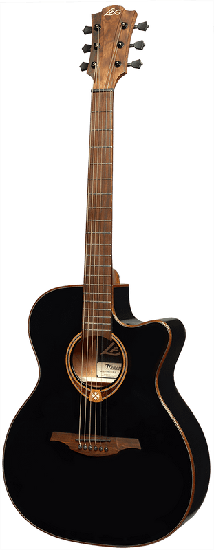 Auditorium Cutaway Electro Black