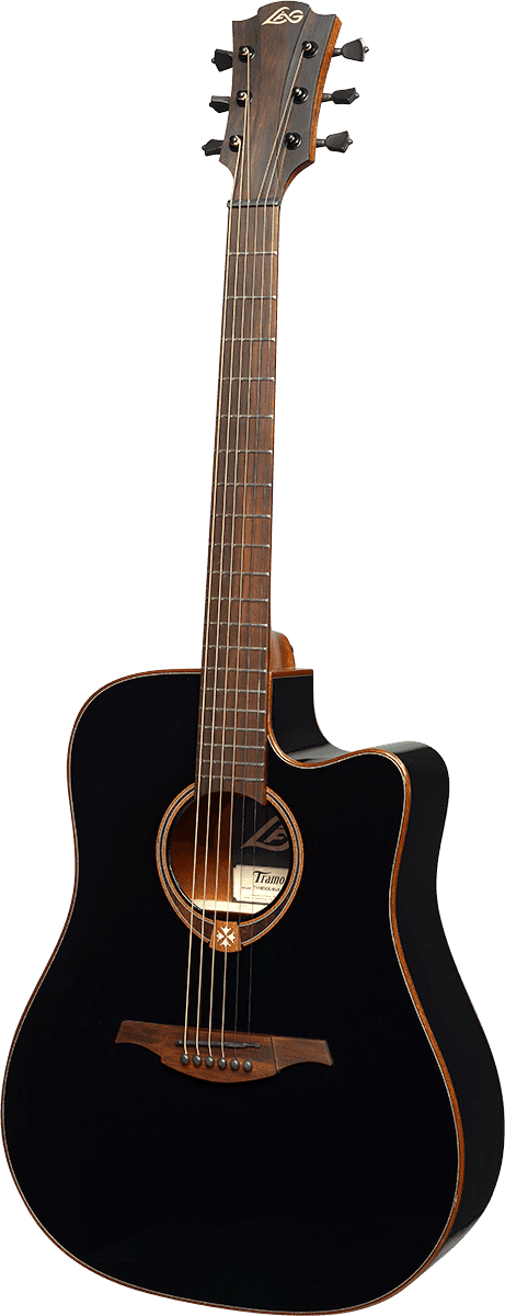 Dreadnought Cutaway Electro Black