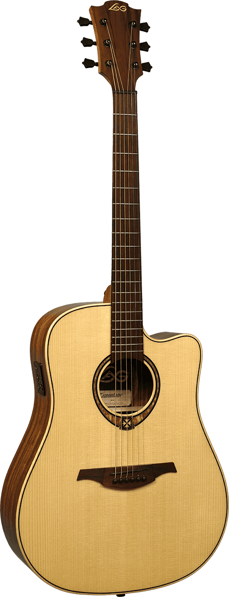 Dreadnought Cutaway Electro