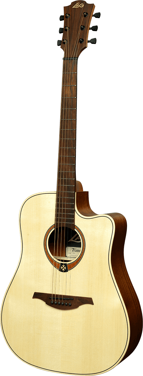 Dreadnought Cutaway