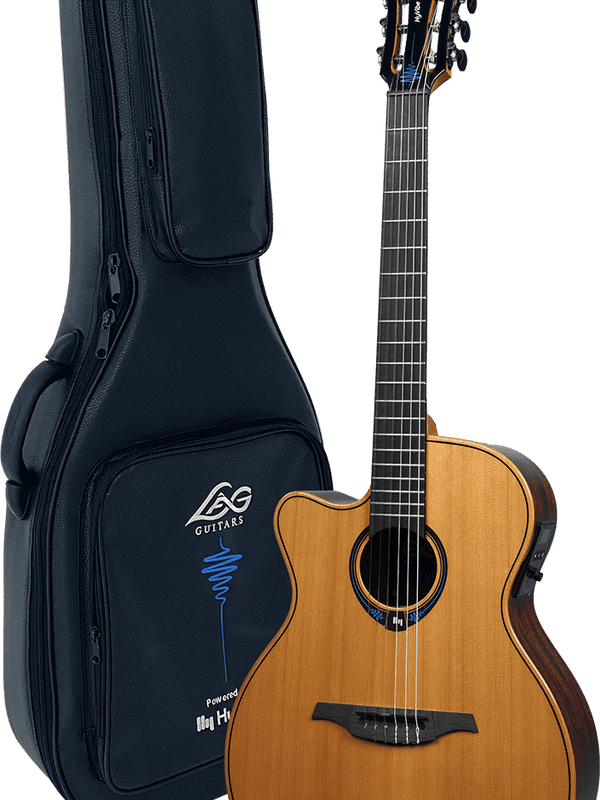 Nylon Gaucher Hyvibe 15 Auditorium Cutaway