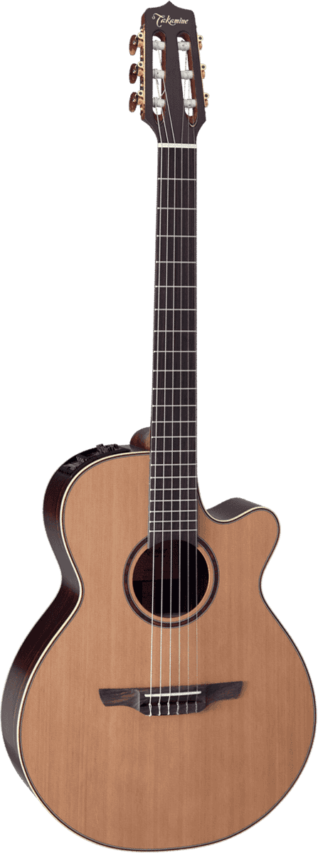 Fx Cutaway Electro