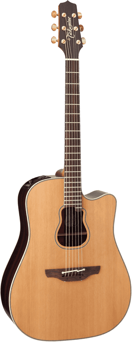 Signature Garth Brooks Dreadnought Electro