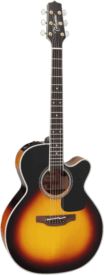 P6Nc-Bsb Brown Sunburst
