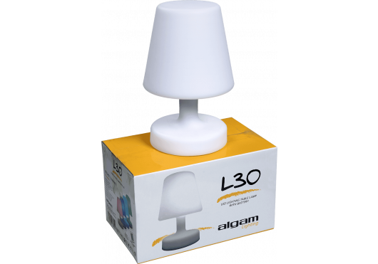 Lampe de table lumineuse