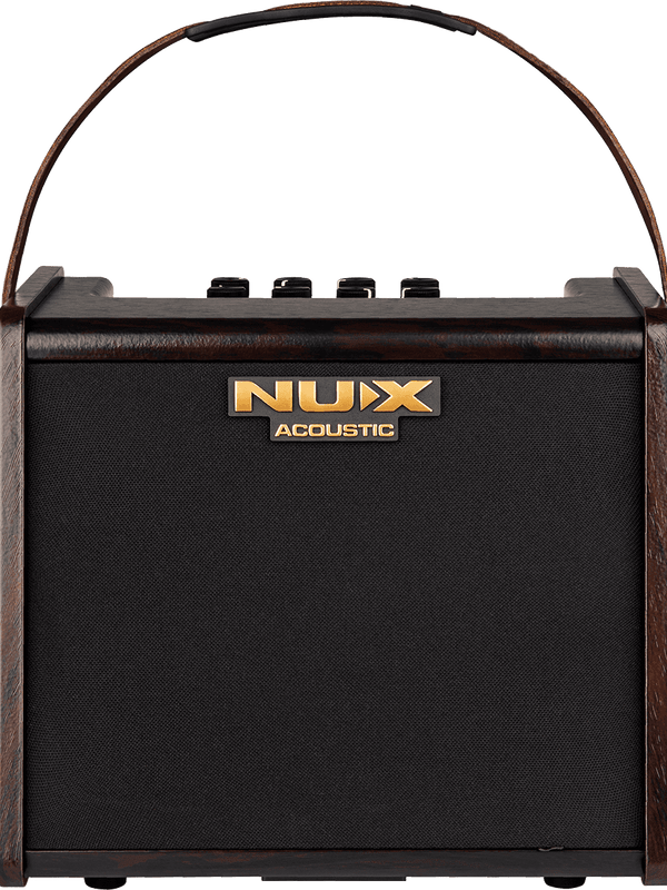 Ampli Acoustique 25 Watts Sur Batterie 2 Canaux + Effets