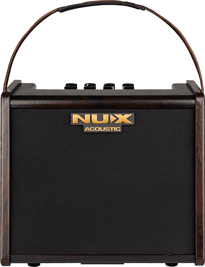 Ampli Acoustique 25 Watts Sur Batterie 2 Canaux + Effets