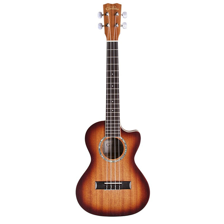 15Tmce Ténor E-Burst + Housse