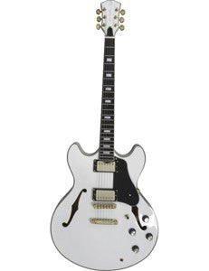 H7 Wh Hollow Body En