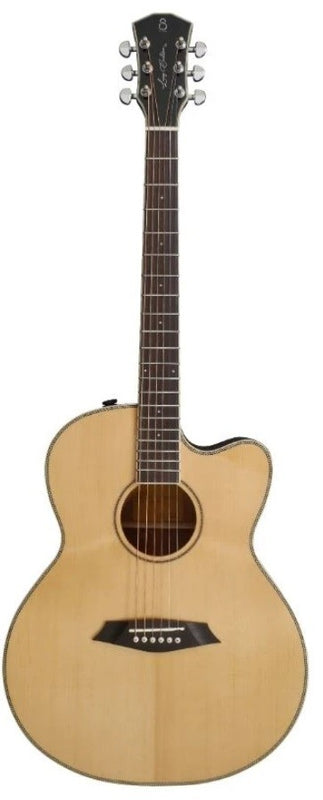 Larry Carlton Folk Auditorium Electro - Naturel