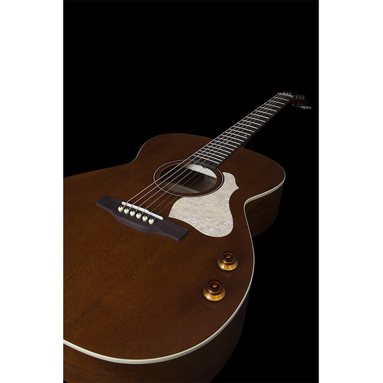 Legacy Havana Brown Ch Q-D