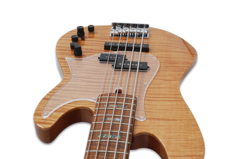 P10 Alder-5 Nt
