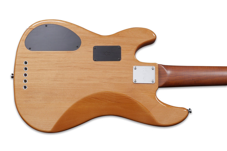 P10 Alder-5 Nt