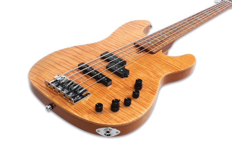 P10 Alder-5 Nt