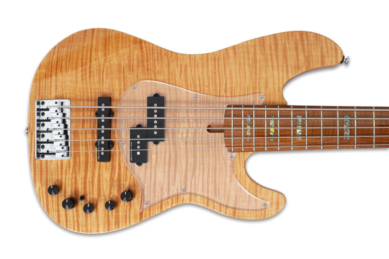 P10 Alder-5 Nt