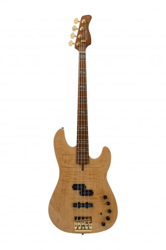 P10 DX Alder-4 NT MN + étui