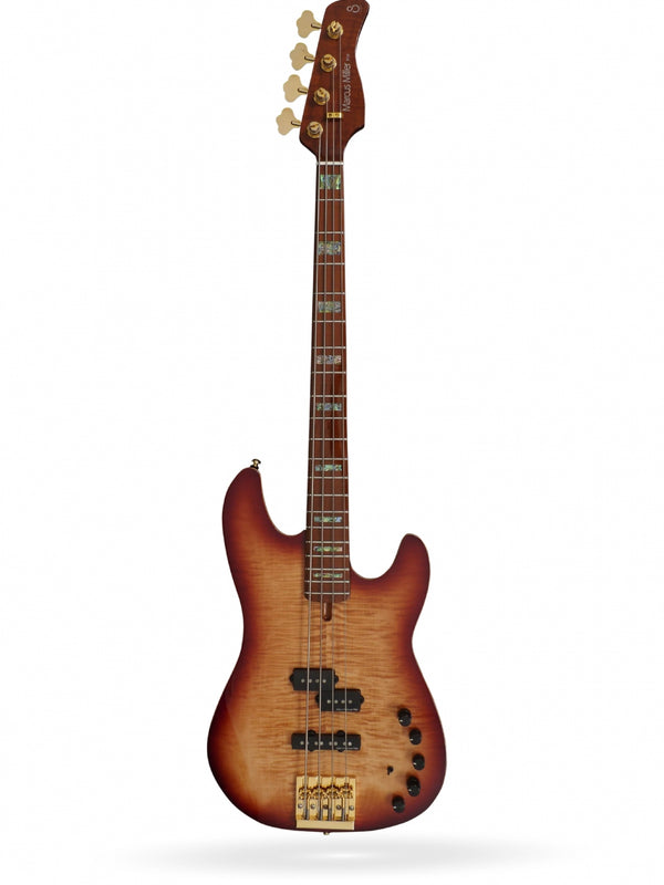 P10 DX Alder-4 TS FL MN + étui