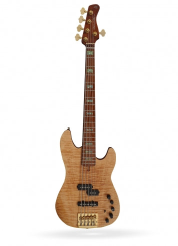 P10 DX Alder-5 NT FL MN + étui
