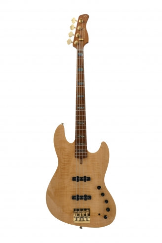 V10 DX Swamp Ash-4 NT MN + étui