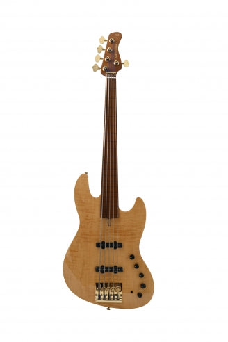 V10 DX Swamp Ash-5 NT FL MN + étui