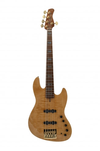 V10 DX Swamp Ash-5 NT MN + étui