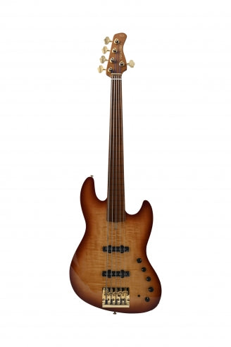 V10 DX Swamp Ash-5 TS FL MN + étui