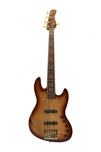 V10 DX Swamp Ash-5 TS MN + étui