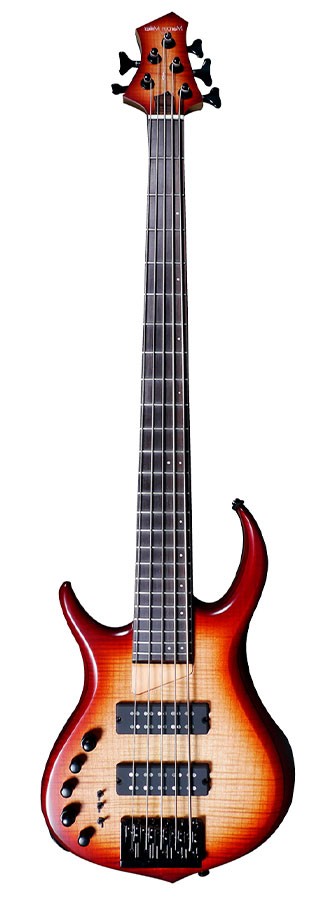 M7 Alder-5 Lh Brs Rn Brown Sunburst Gauchère