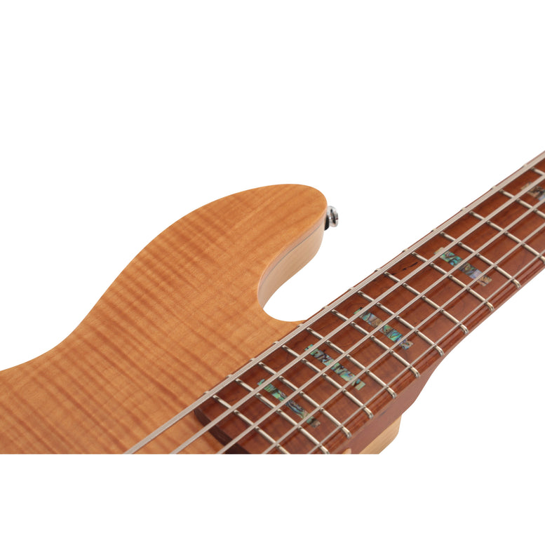 V10 Swamp Ash-5 Ts Mn + Housse