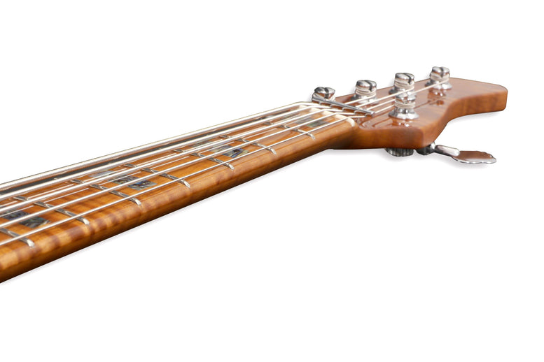 V10 Swamp Ash-5 Ts Mn + Housse