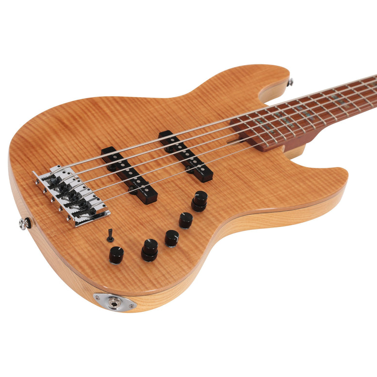 V10 Swamp Ash-5 Ts Mn + Housse