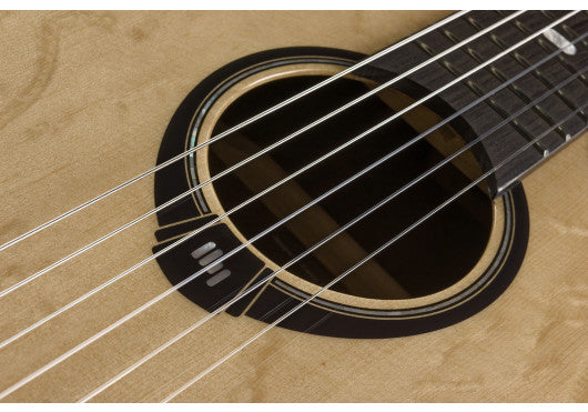 HyVibe 50 Nylon Auditorium Cutaway Electro