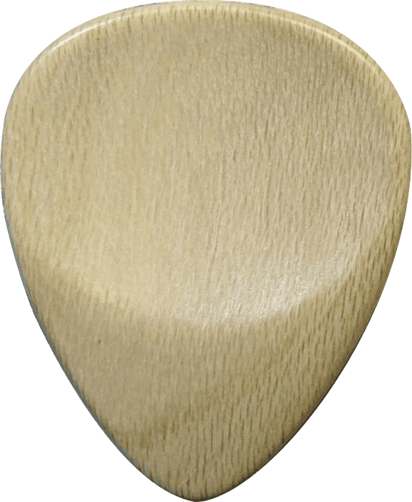 Médiator Houx