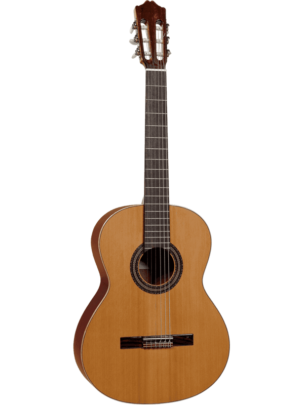 10 Cèdre Massif - Sapele - Gaucher
