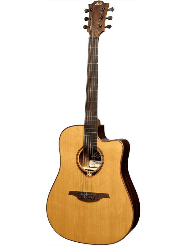 Dreadnought Cutaway Electro