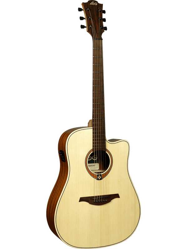 Dreadnought Cutaway Electro