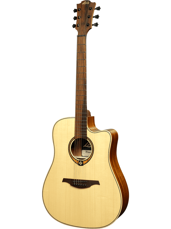 Dreadnought Cutaway Electro