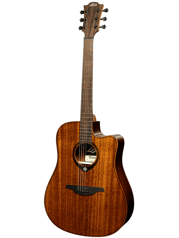 Dreadnought Cutaway Electro